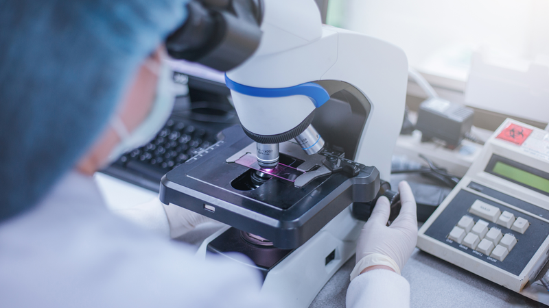 Nước bọt của muỗi có thể giúp phát triển liệu pháp điều trị bệnh do vi-rút Arbo 4