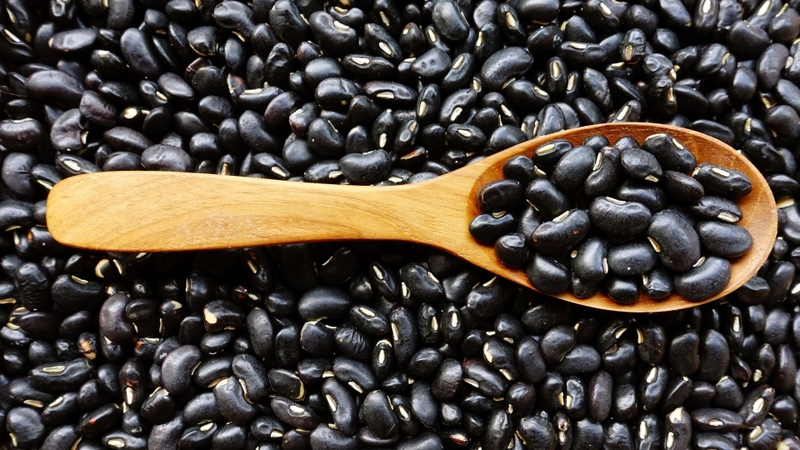 Các loại đậu nguyên hạt thường chứa carbohydrate phức hợp, protein và chất xơ
