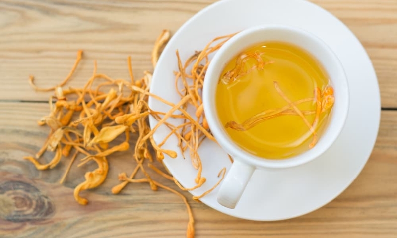 các thành phẩn của nước đông trùng hạ thảo