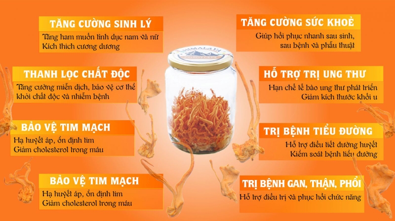nước đông trùng hạ thảo với nhiều lợi ích cho sức khỏe