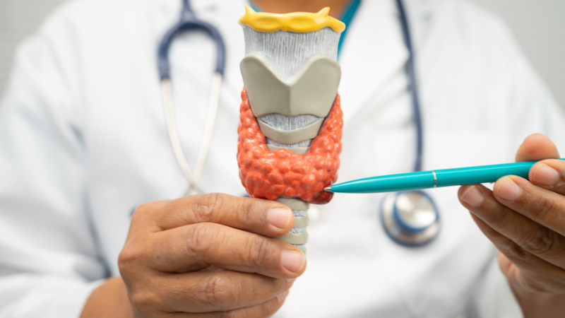 Nước dừa tốt cho tuyến giáp đúng không? Câu trả lời là không có bằng chứng cải thiện trực tiếp chức năng tuyến giáp