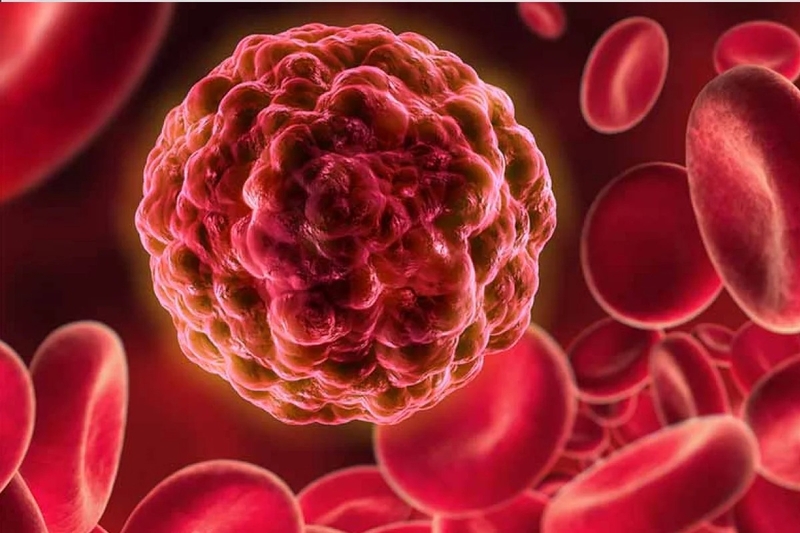 nuoc-ep-cai-xoan-co-tac-dung-gi 2.jpg