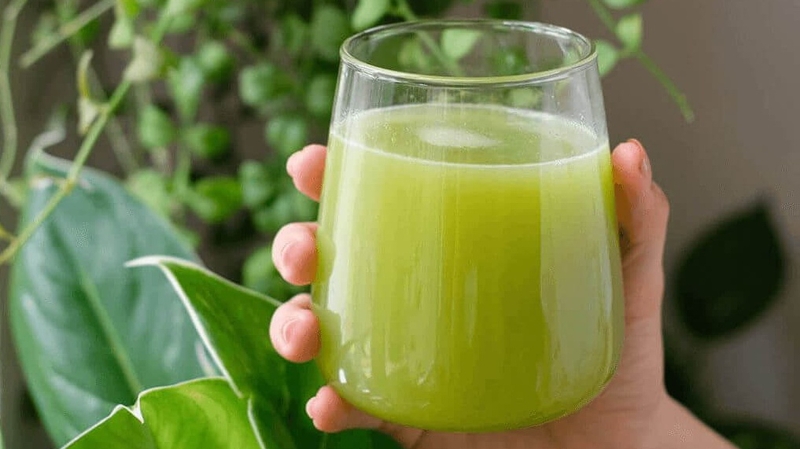 Nước ép cóc có tác dụng gì? Giá trị dinh dưỡng của nước ép cóc 3