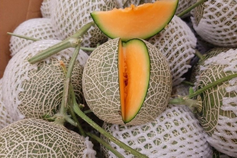 Nước ép dưa lưới có tác dụng gì? Top 6 tác dụng thần kỳ 3