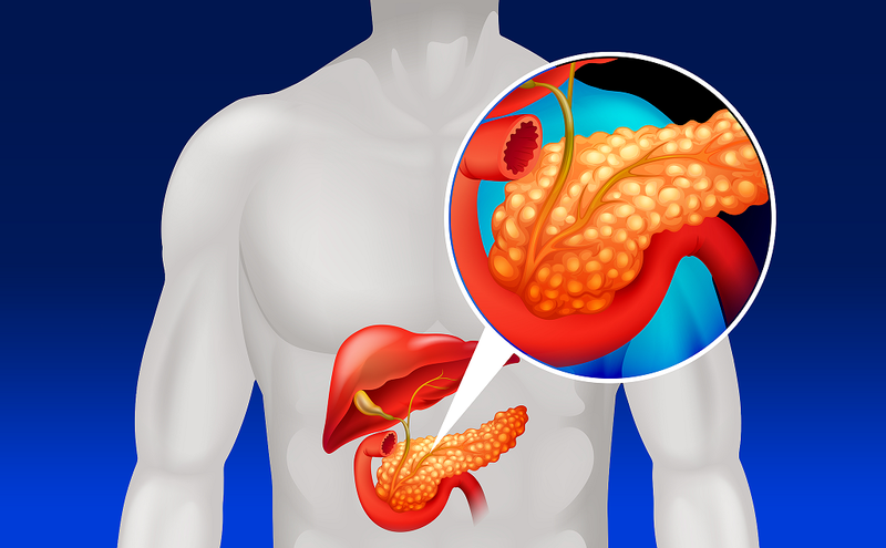 Nước ép tốt cho tụy là gì? Tại sao cần quan tâm đến tụy 2