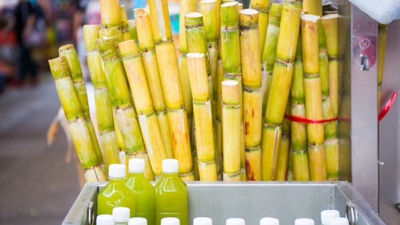 Nước mía có công dụng gì? Uống nước mía nhiều có bị tiểu đường không? 2