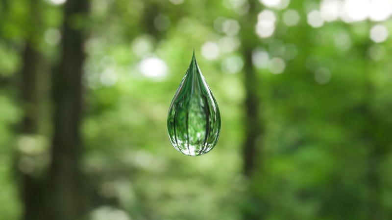 Nước mưa có sạch không? Có nên uống nước mưa không? 2