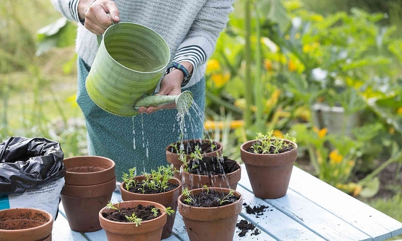 Nước mưa có sạch không? Có nên uống nước mưa không? 3