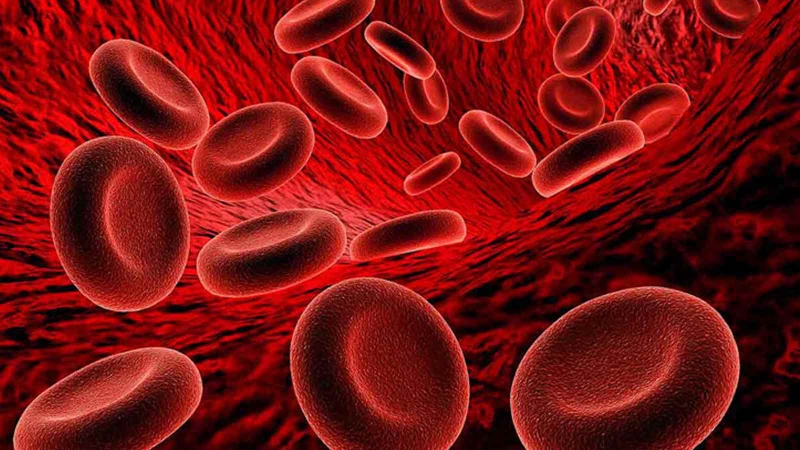 Nước nho khô có tác dụng gì? Cách làm nước nho khô tại nhà 3