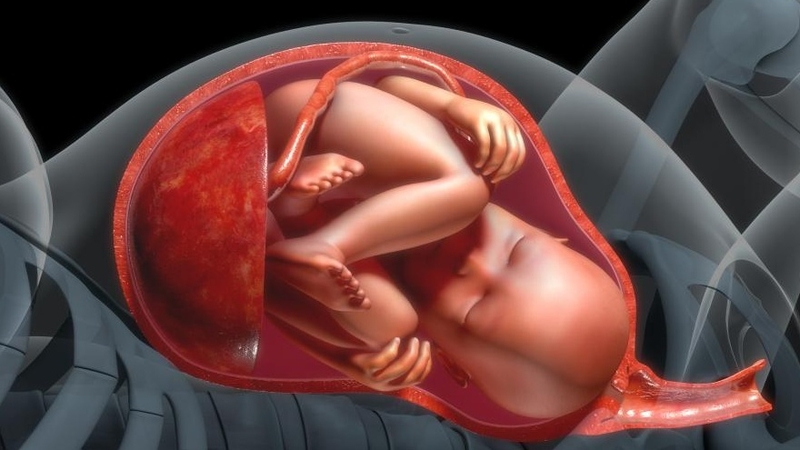 Nước ối và sự quan trọng đối với sự phát triển của thai nhi 2