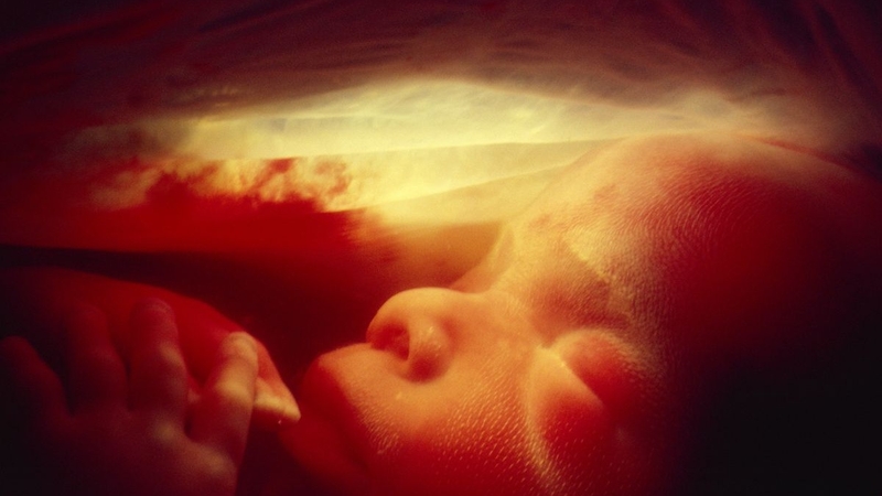 Nước ối là gì? 1