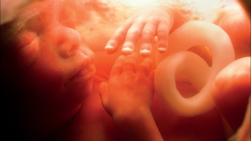 Nước ối sắp sinh có màu gì? Hiểu rõ để chuẩn bị tốt nhất cho ngày vượt cạn 2