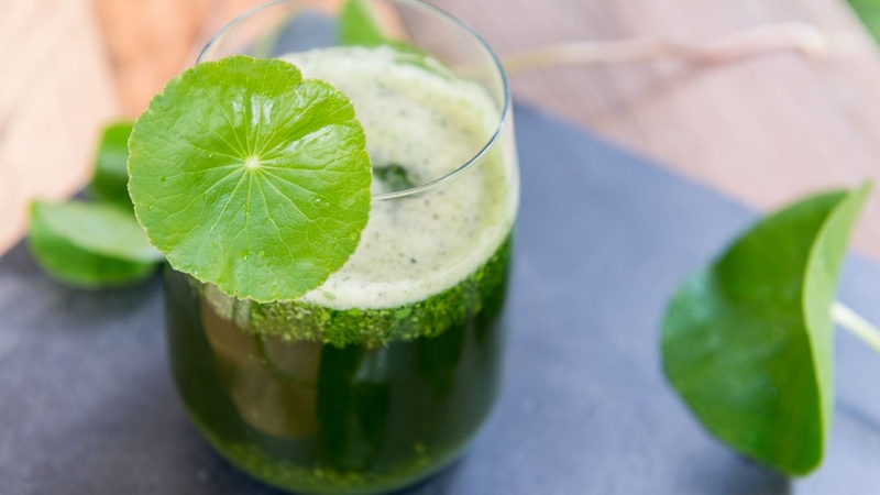 Nước rau má có tác dụng gì? Lưu ý khi uống nước rau má 4