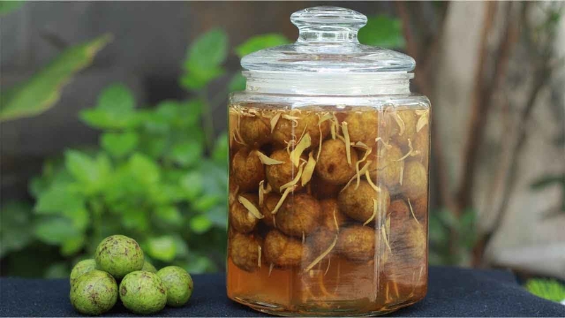 Nước sấu bao nhiêu calo? Công dụng tuyệt vời của nước sấu 1