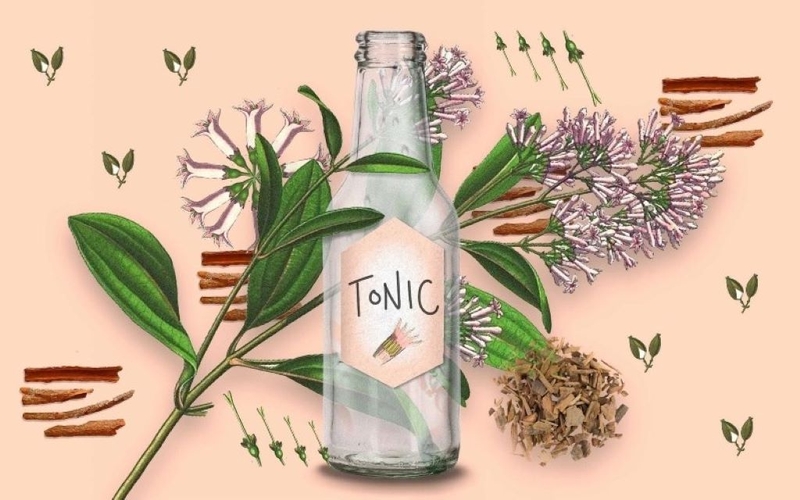Nước tonic là gì?Công dụng của nước tonic đối với sức khỏe? 1