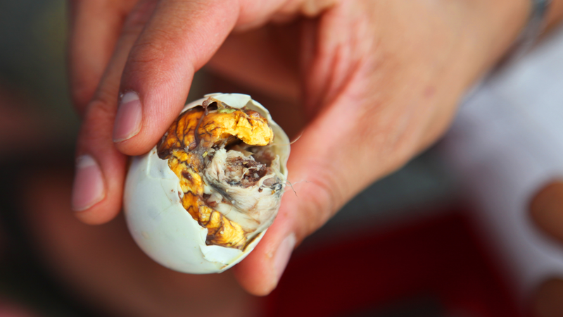 Nước trong trứng vịt lộn là nước gì? Nước trong trứng vịt lộn thực chất là dịch ối