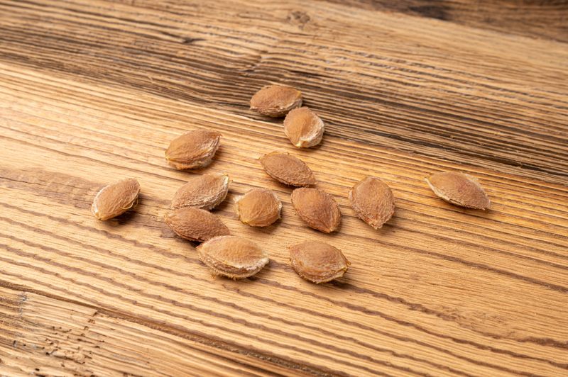 Nuốt hạt mận có tiêu hóa được không? 1