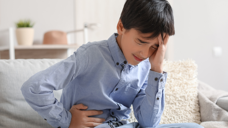 Nuốt hạt me có sao không? Những lợi ích từ hạt me đối với sức khỏe 2