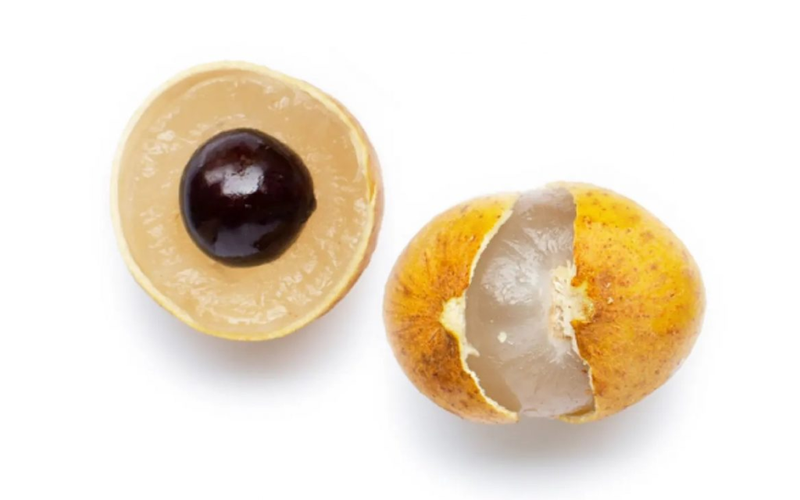 Nuốt hạt nhãn có sao không? Nuốt phải hạt nhãn phải làm sao? 2