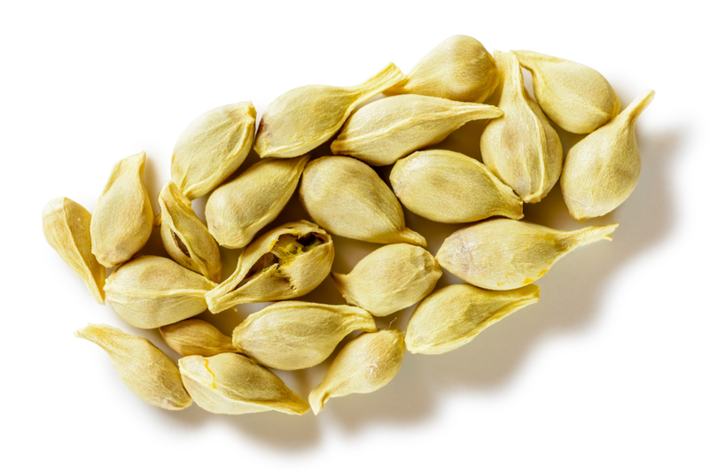 Nuốt hạt quýt có sao không? Các lưu ý khi nuốt phải hạt quýt 2