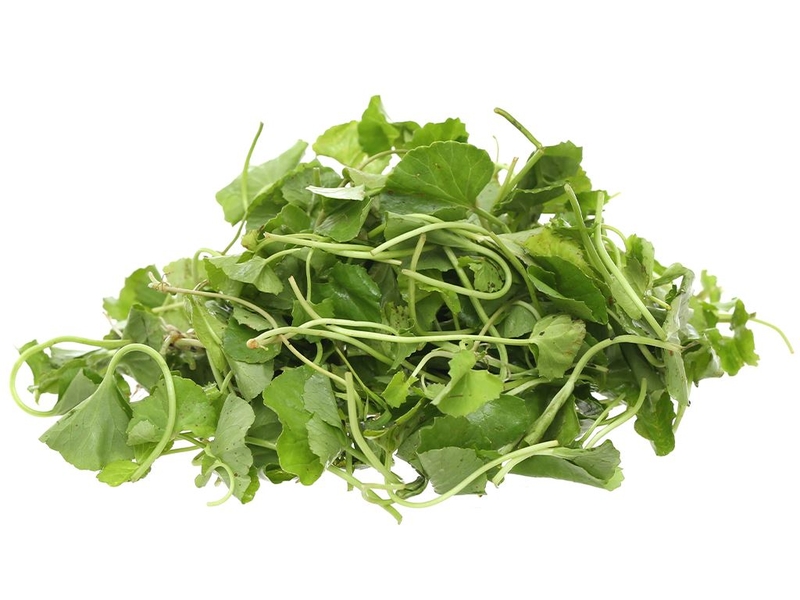 ở cữ ăn được rau gì 9