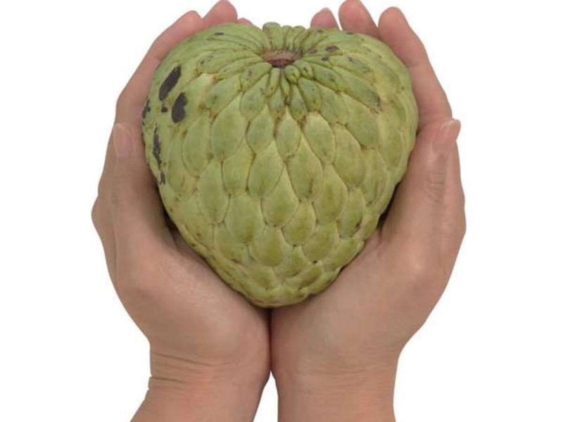 ở cữ có ăn được mãng cầu không 3