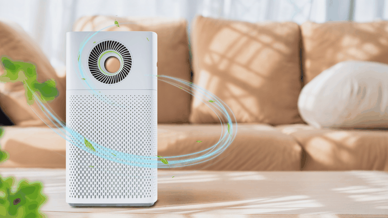 Dùng máy lọc không khí giúp giảm bụi mịn và tác nhân gây hại trong nhà
