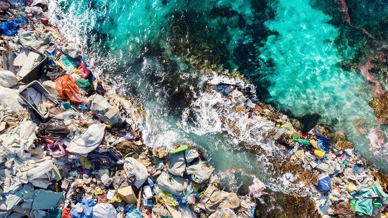 Ô nhiễm nước là gì? Những nguyên nhân gây ra ô nhiễm môi trường nước 1