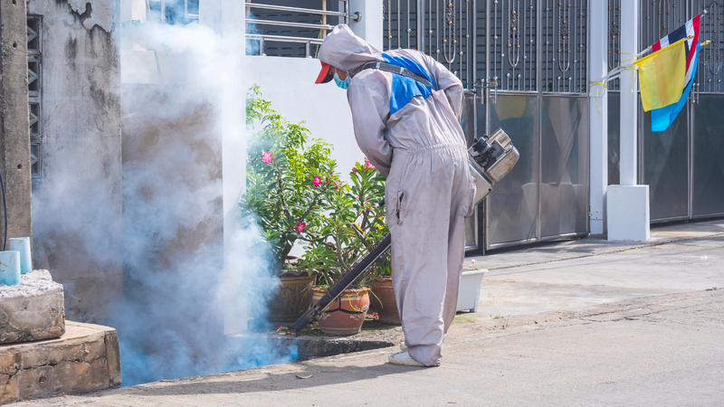 Thời tiết nóng ẩm, mưa xen kẽ tạo điều kiện thuận lợi cho muỗi truyền sốt xuất huyết phát triển mạnh