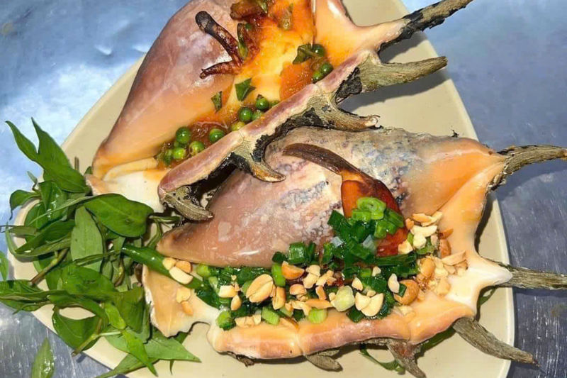 Nên chọn những con ốc còn tươi sống để đảm bảo vệ sinh và tránh ảnh hưởng đến sức khỏe