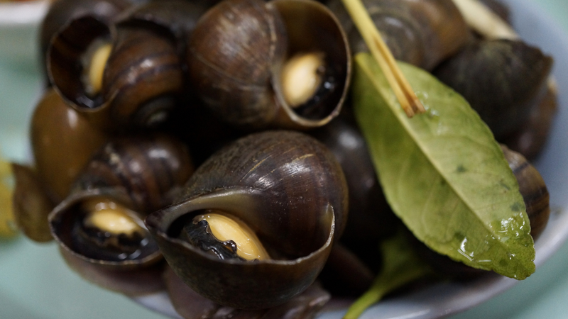 Ốc bươu đen có tác dụng gì? Lợi ích của ốc bươu đen đối với sức khỏe như thế nào? 2