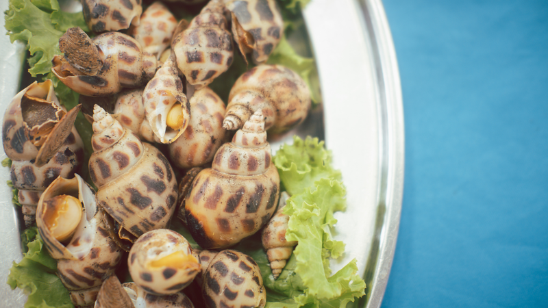 Ốc hương là nguồn cung cấp canxi tốt cho hệ xương khớp