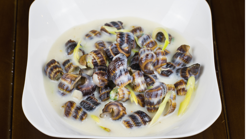 Ốc len ăn có bổ không? 1