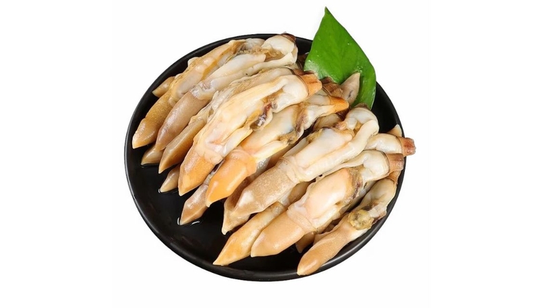Ốc móng tay: Thành phần dinh dưỡng và lợi ích sức khỏe bạn nên biết 1