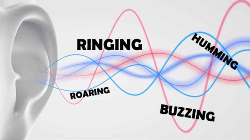 Ốc tai có cấu tạo như thế nào? Các bệnh lý về ốc tai 3