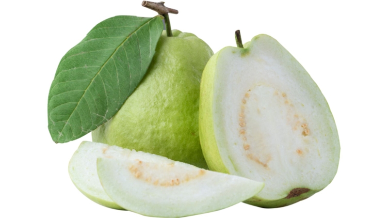 Ổi ruột trắng là một trong những nguồn cung cấp dưỡng chất dồi dào