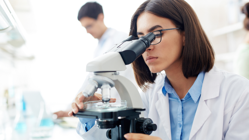 Oleanolic Acid còn được nghiên cứu về khả năng tác động lên một số loại ký sinh trùng