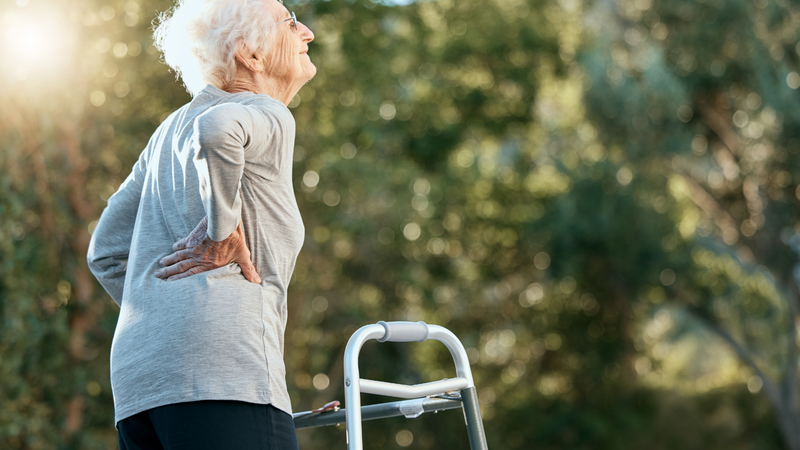 Omega 3 cho người lớn tuổi: Lợi ích và thời điểm bổ sung phù hợp 3