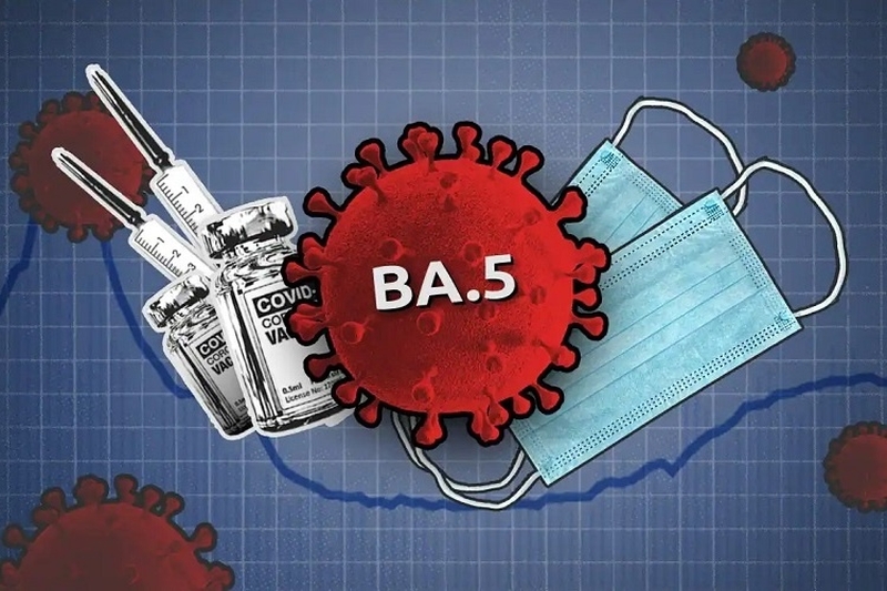 Bộ Y tế: Biến thể phụ Covid-19 BA.5 đã xâm nhập vào Việt Nam3