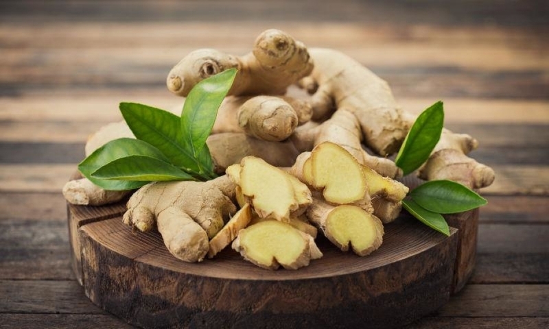 Cách trị ho ngứa cổ họng bằng gừng và những điều cần lưu ý 2
