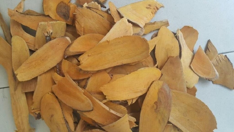 Những bài thuốc ổn định huyết áp từ dân gian đơn giản, hiệu quả 3 Những bài thuốc ổn định huyết áp từ dân gian đơn giản, hiệu quả 3