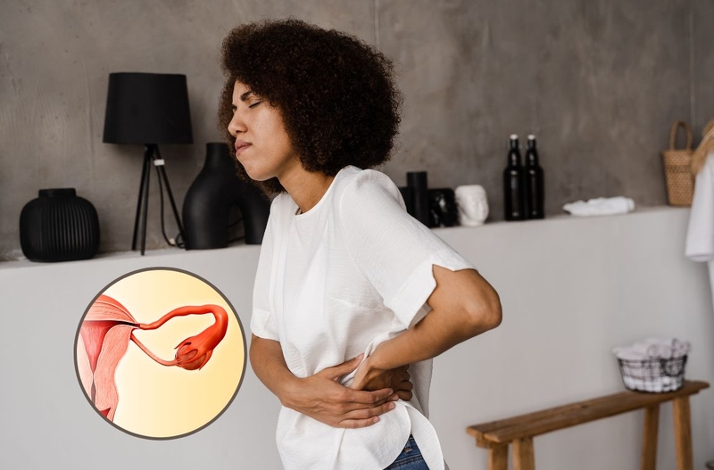 Tìm hiểu cấu tạo, chức năng của ống dẫn trứng 3