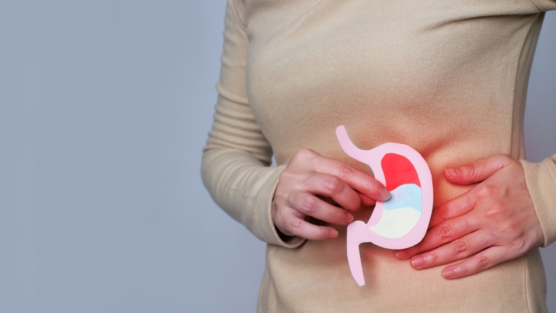 Ống tiêu hóa: Cấu tạo, chức năng và cách bảo vệ sức khỏe hệ tiêu hóa 2