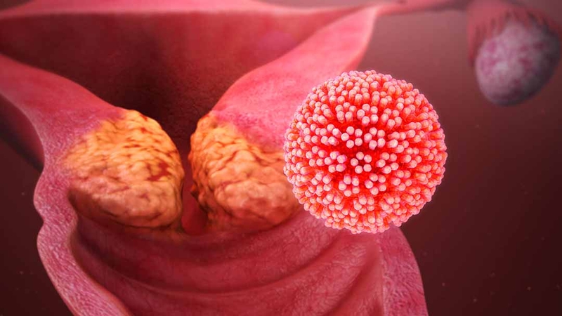 Giải đáp thắc mắc: Xu hướng quan hệ Oral sex là gì? 2