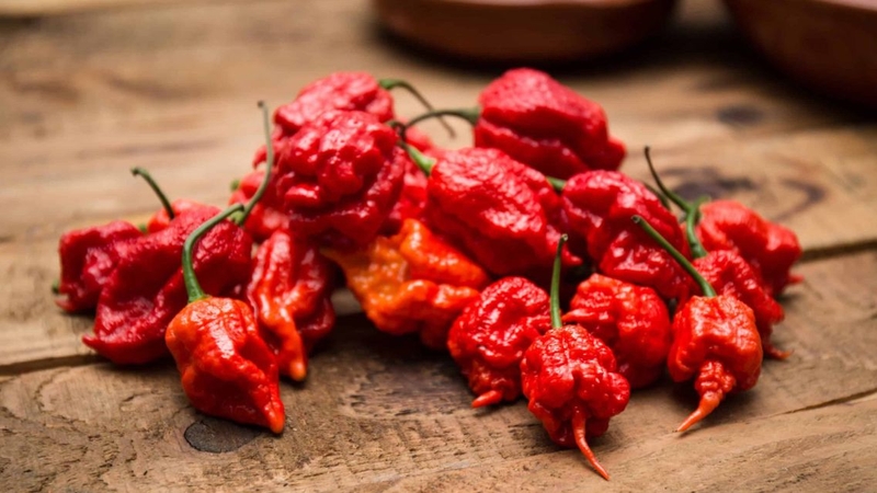 Vì là ớt siêu cay nên nếu dùng không đúng cách sẽ gặp nhiều rủi ro tiềm ẩn