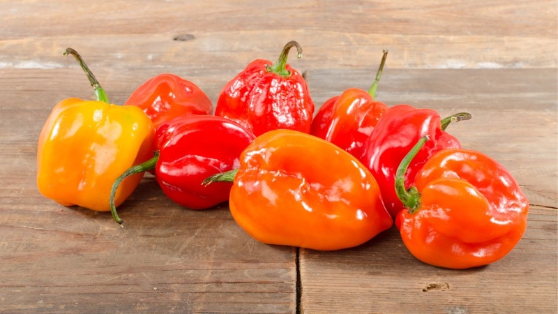 Nên sử dụng ớt Habanero đúng cách để đảm bảo an toàn