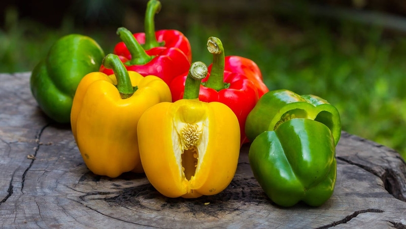 Ớt chuông có tác dụng gì? Các chất dinh dưỡng có lợi trong ớt chuông 1
