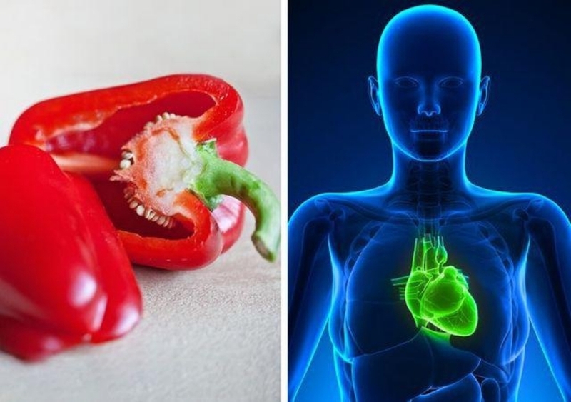 Ớt chuông có tác dụng gì? Các chất dinh dưỡng có lợi trong ớt chuông 4