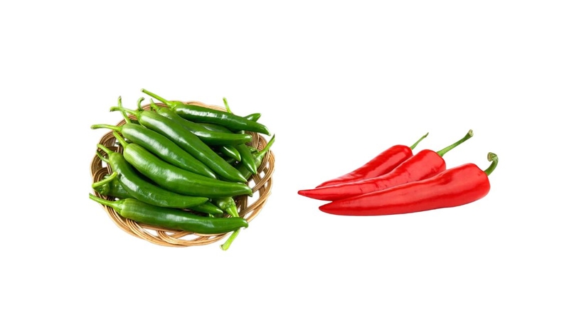 Ớt sừng trâu có thể dùng được cả khi xanh và khi chín