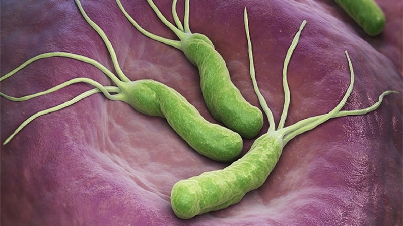 Pannefia 40 - Thuốc trị bệnh lý dạ dày 2